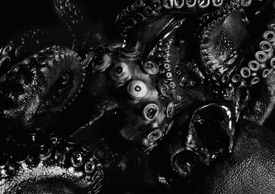 GRIP PRODUCTS Kraken Grip